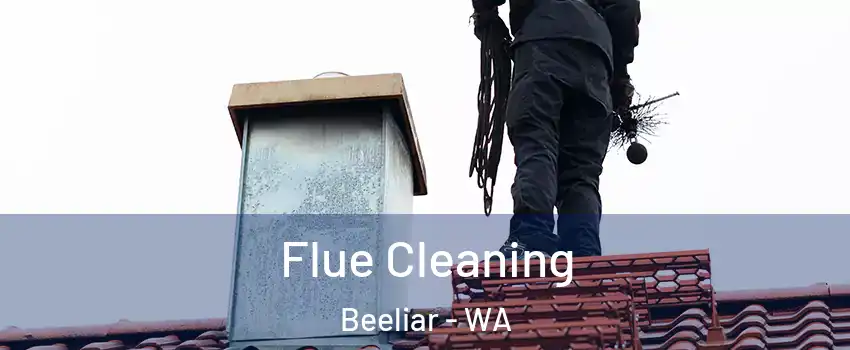 Flue Cleaning Beeliar - WA