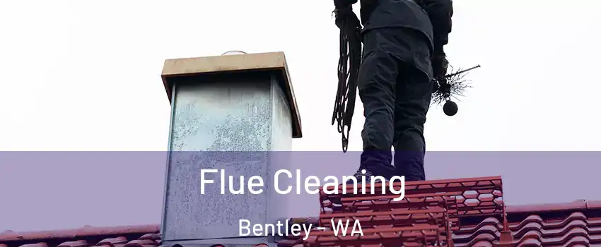 Flue Cleaning Bentley - WA