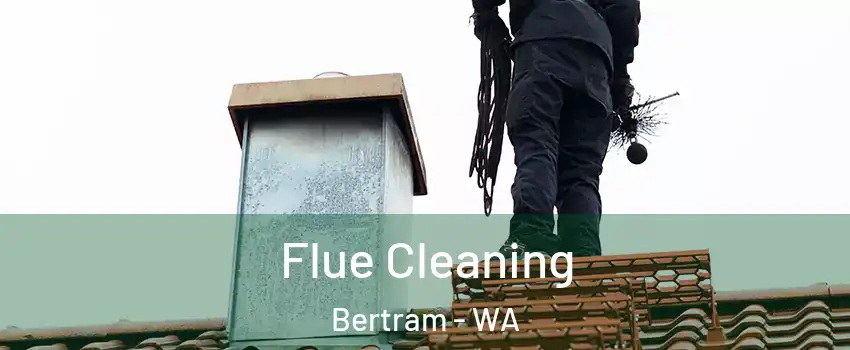 Flue Cleaning Bertram - WA