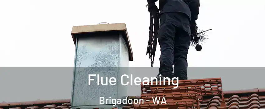 Flue Cleaning Brigadoon - WA