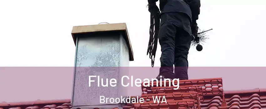Flue Cleaning Brookdale - WA