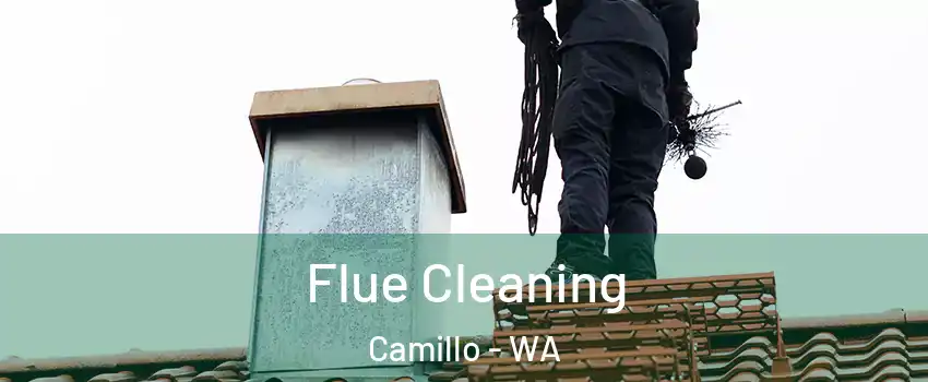 Flue Cleaning Camillo - WA