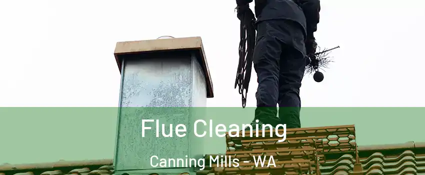 Flue Cleaning Canning Mills - WA