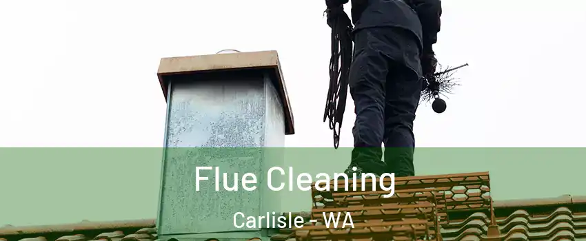 Flue Cleaning Carlisle - WA