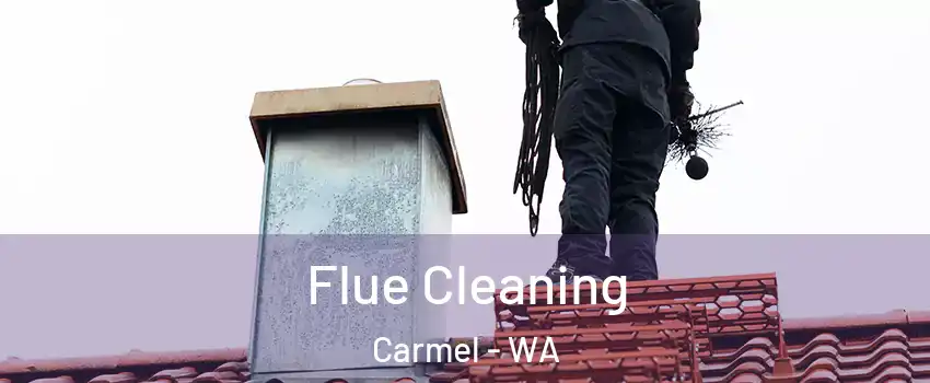 Flue Cleaning Carmel - WA