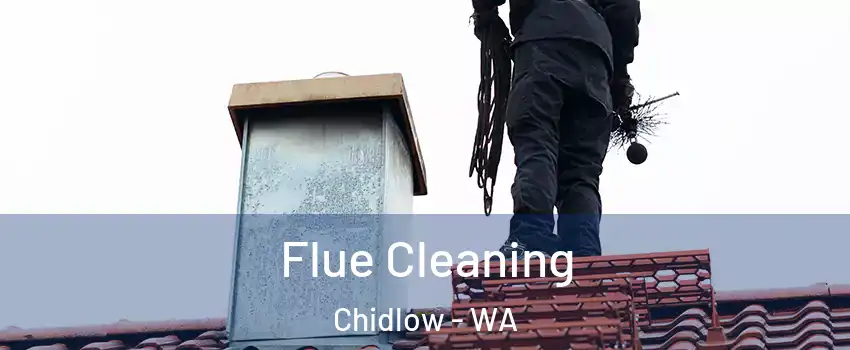 Flue Cleaning Chidlow - WA