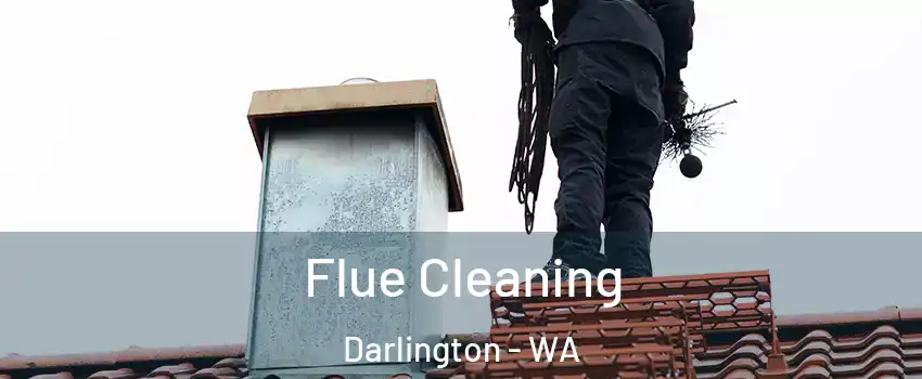 Flue Cleaning Darlington - WA