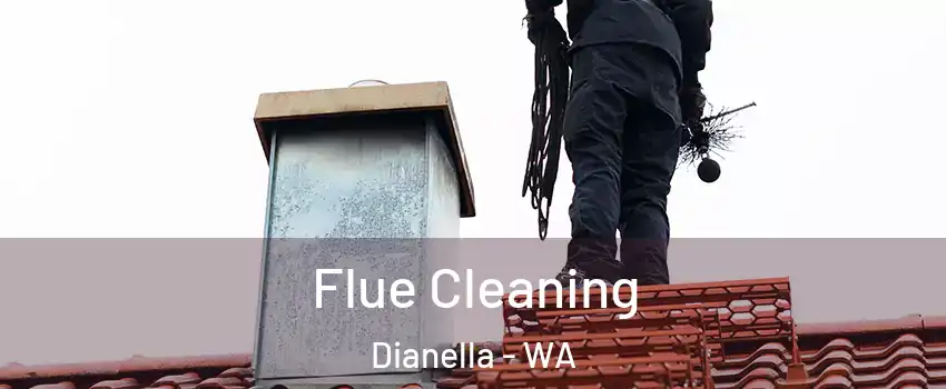 Flue Cleaning Dianella - WA