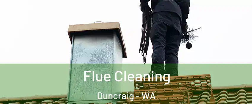 Flue Cleaning Duncraig - WA