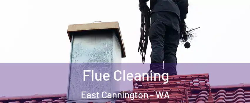 Flue Cleaning East Cannington - WA