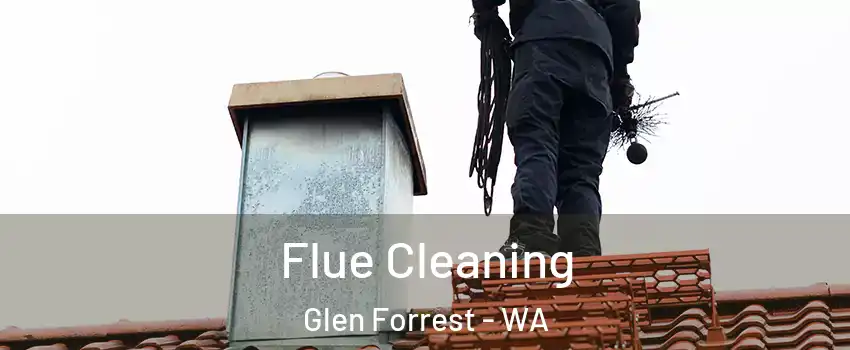 Flue Cleaning Glen Forrest - WA
