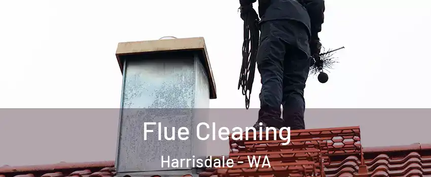 Flue Cleaning Harrisdale - WA