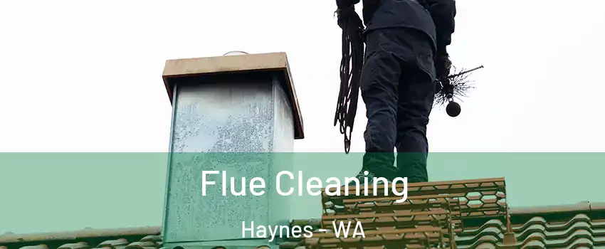Flue Cleaning Haynes - WA