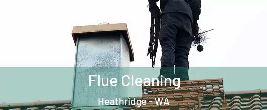 Flue Cleaning Heathridge - WA