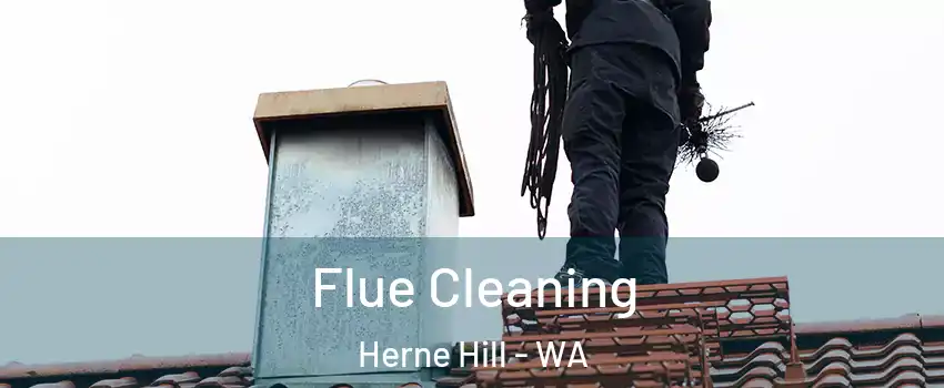 Flue Cleaning Herne Hill - WA
