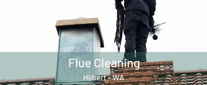 Flue Cleaning Hilbert - WA