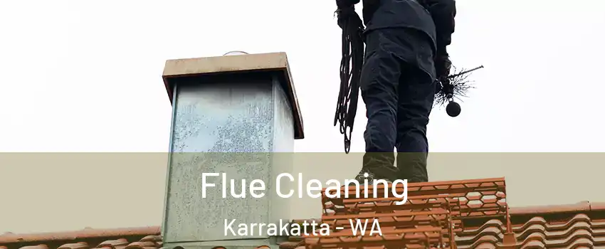 Flue Cleaning Karrakatta - WA