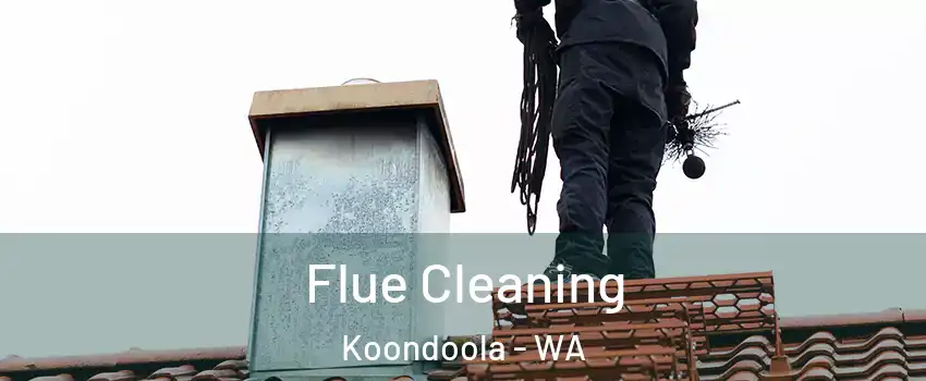 Flue Cleaning Koondoola - WA