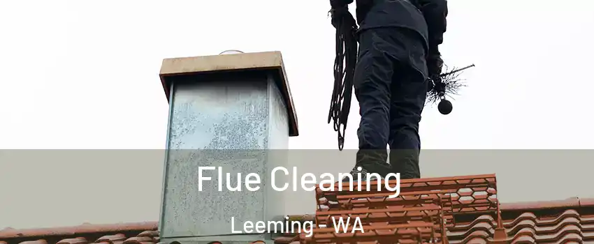 Flue Cleaning Leeming - WA