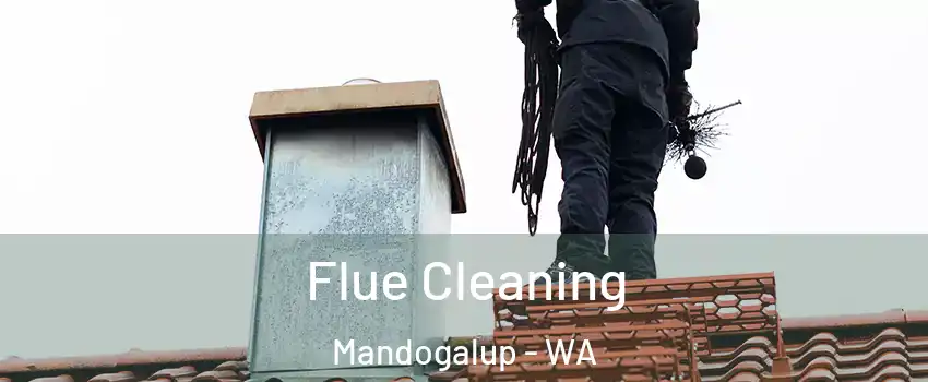 Flue Cleaning Mandogalup - WA