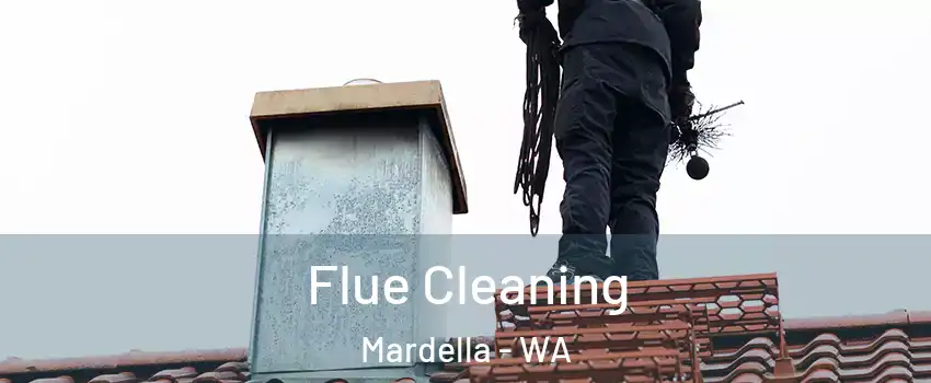 Flue Cleaning Mardella - WA