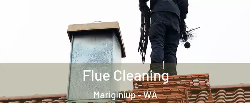 Flue Cleaning Mariginiup - WA