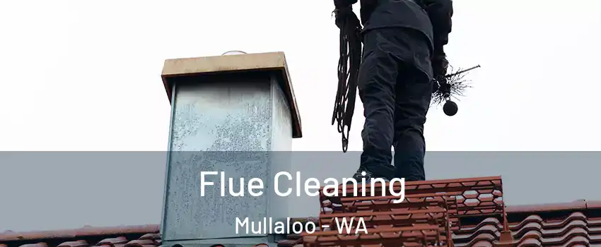 Flue Cleaning Mullaloo - WA