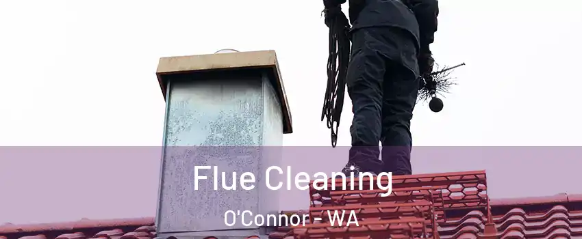 Flue Cleaning O'Connor - WA