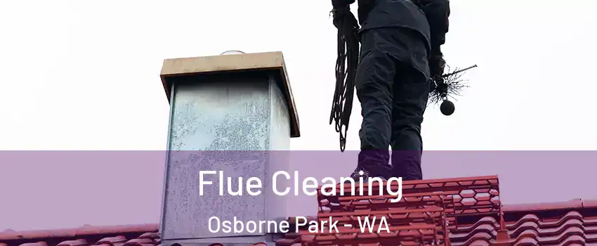Flue Cleaning Osborne Park - WA