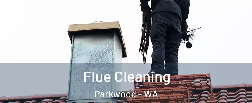 Flue Cleaning Parkwood - WA