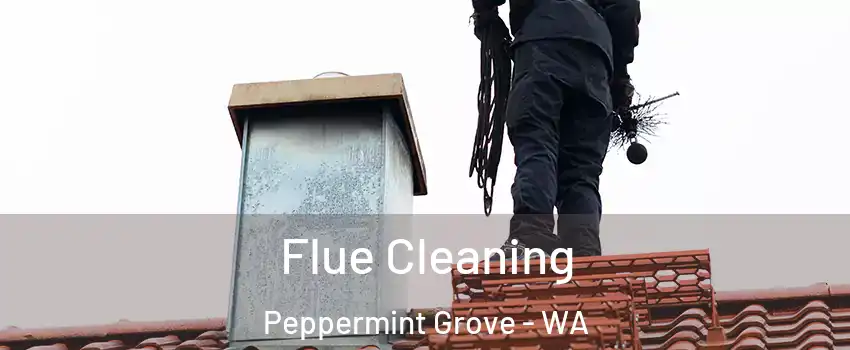Flue Cleaning Peppermint Grove - WA