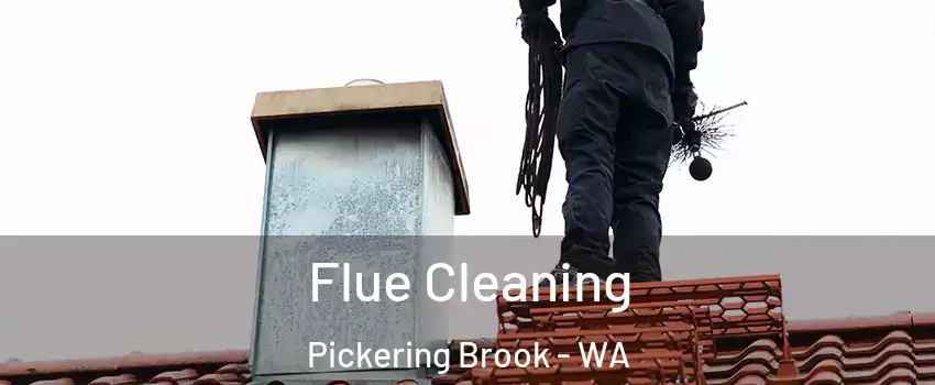 Flue Cleaning Pickering Brook - WA