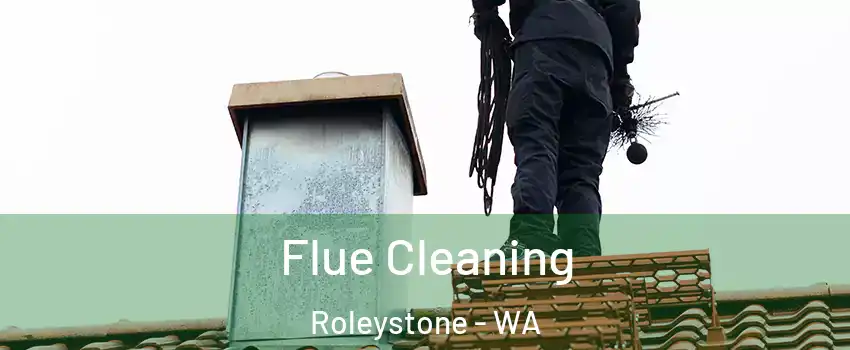 Flue Cleaning Roleystone - WA