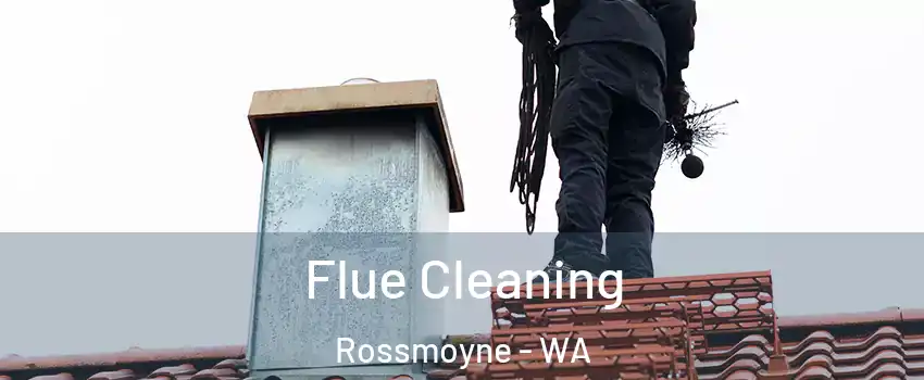Flue Cleaning Rossmoyne - WA