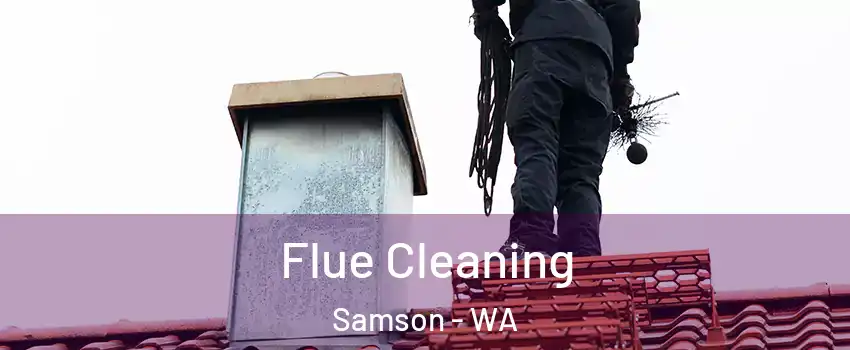 Flue Cleaning Samson - WA