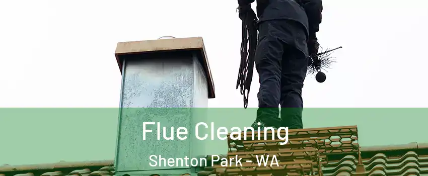 Flue Cleaning Shenton Park - WA