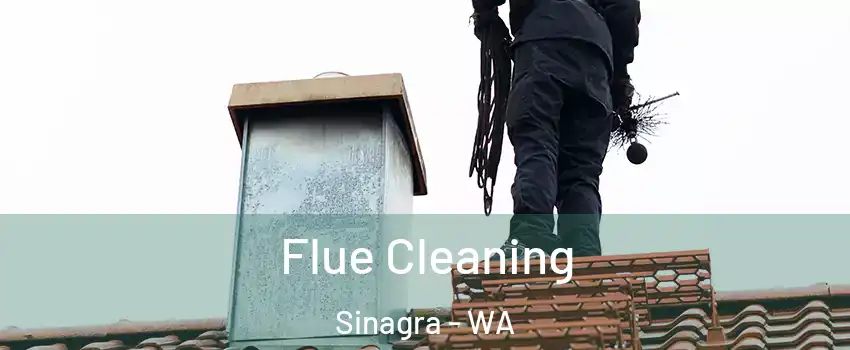 Flue Cleaning Sinagra - WA