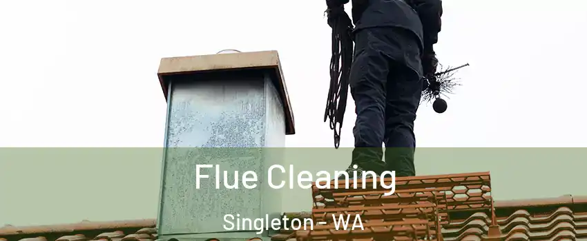 Flue Cleaning Singleton - WA