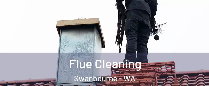 Flue Cleaning Swanbourne - WA
