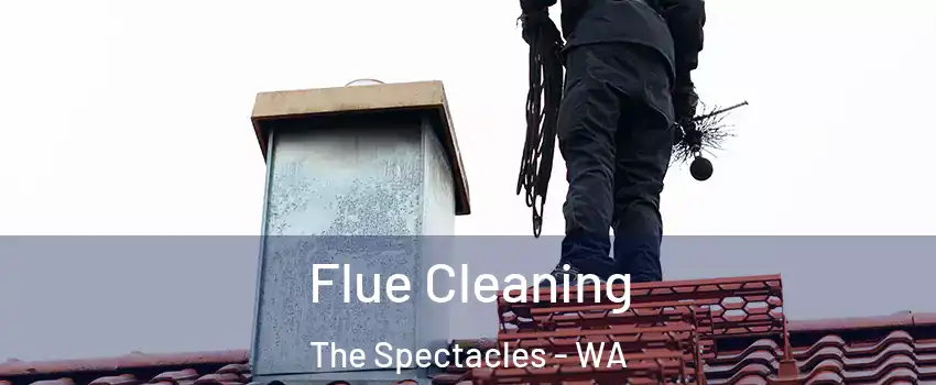 Flue Cleaning The Spectacles - WA