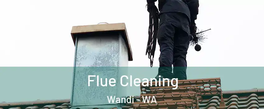 Flue Cleaning Wandi - WA