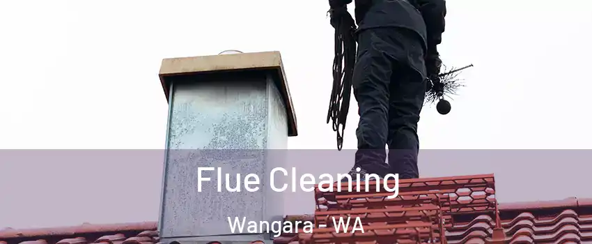 Flue Cleaning Wangara - WA