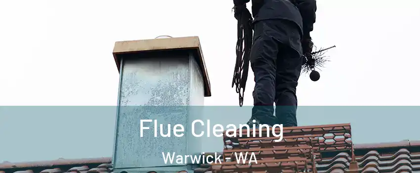 Flue Cleaning Warwick - WA