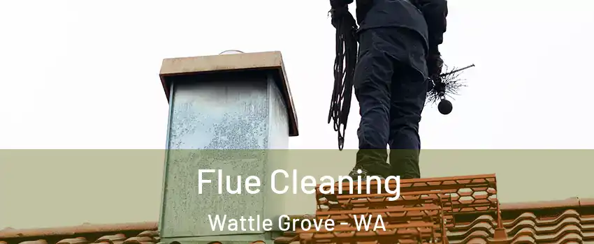 Flue Cleaning Wattle Grove - WA
