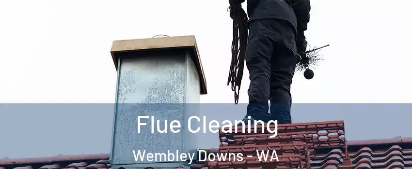 Flue Cleaning Wembley Downs - WA