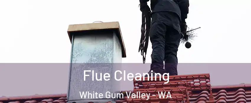 Flue Cleaning White Gum Valley - WA
