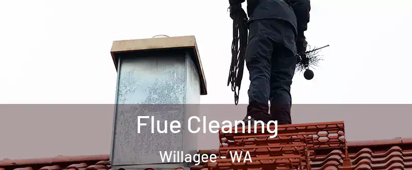 Flue Cleaning Willagee - WA