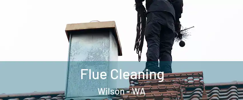  Flue Cleaning Wilson - WA