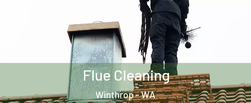 Flue Cleaning Winthrop - WA