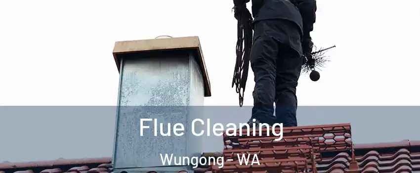 Flue Cleaning Wungong - WA